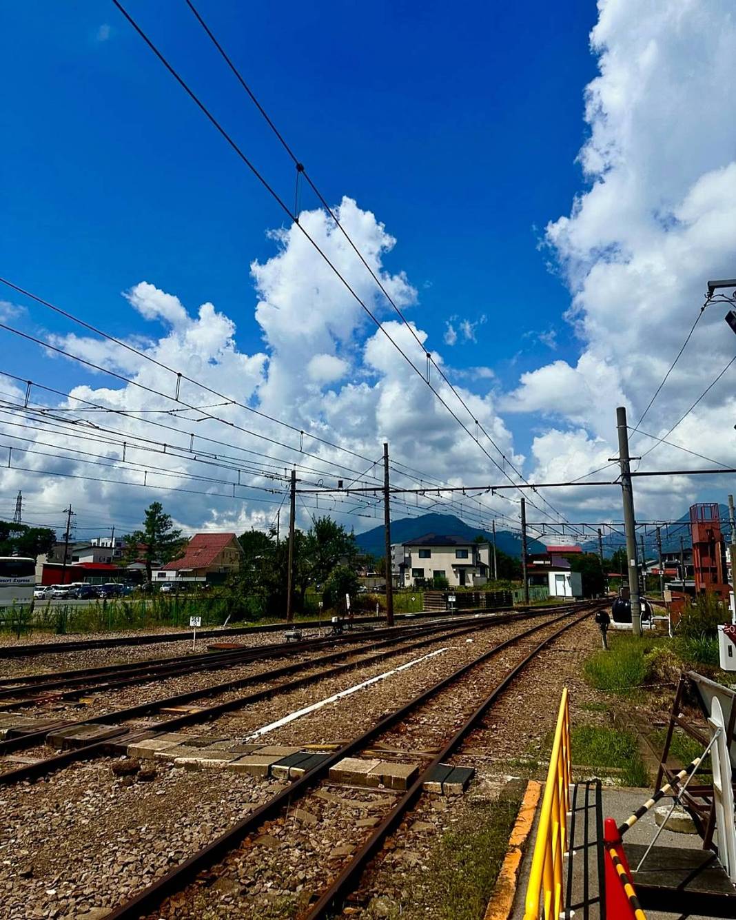 Japonya'da sevilen bir yabancı olun: Harika bir deneyim için altın kurallar! Gülümse ve kurallara uy 12